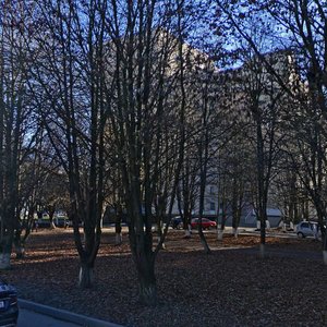 Dovatortsev Street, 47/1, Stavropol: photo
