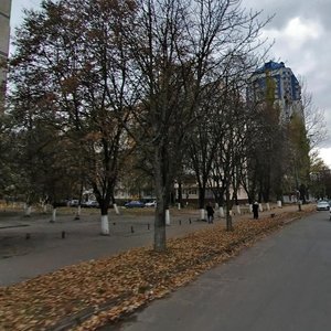 Zhmerynska Street, 18, Kyiv: photo