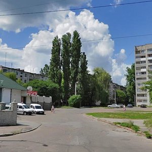 Kybal'chycha Street, 22, Zhytomyr: photo