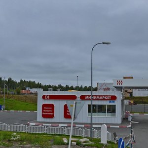 Lososinskoye Highway, 48, Petrozavodsk: photo