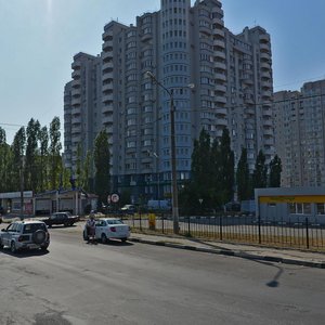 Воронеж, Проспект Патриотов, 1Д: фото