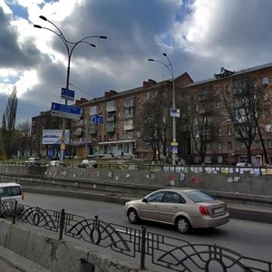 Oleny Telihy Street, 19/2, Kyiv: photo