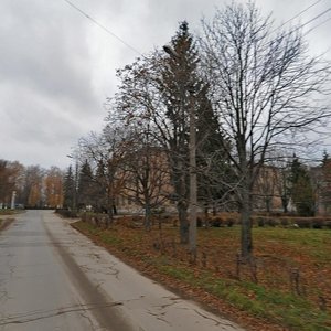 Oktyabrskaya Street, 201А, Tula: photo