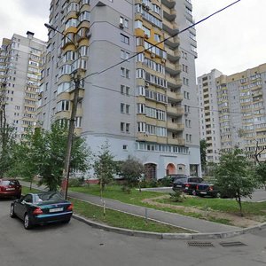 Mykhaila Kotelnykova Street, 35, Kyiv: photo