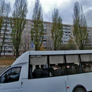 Hryhorovycha-Barskoho Street, 9/14, Kyiv: photo