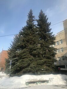 Suvorova Street, 123, Magnitogorsk: photo