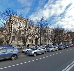 Mechnykova Street, 5, Kyiv: photo