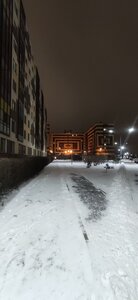 Tsentralnaya Street, 54, Kudrovo: photo