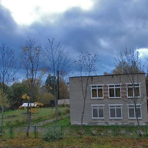 Naberezhnaya Street, 94, Kurovskoye: photo