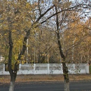Timurovskaya Street, 15, Barnaul: photo