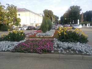 Воронеж, Улица Карла Маркса, 114: фото