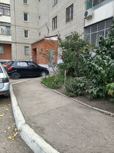 Ulitsa imeni N.I. Vavilova, 8/26А, Saratov: photo