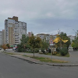 Budyschanska Street, 7, Kyiv: photo