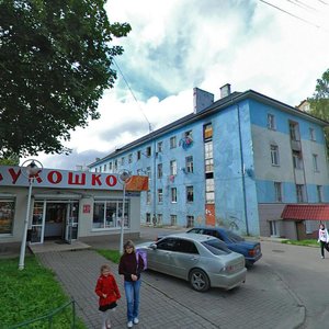 Aleksandra Nevskogo Street, 48 ، : صورة