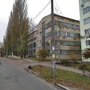 Maksyma Kryvonosa Street, 2, Kyiv: photo