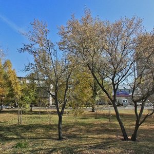 Stroiteley Avenue, 41А, Barnaul: photo