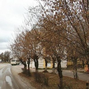 Заволжье, Улица Павловского, 11: фото