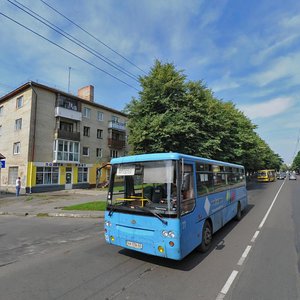 Луцк, Проспект Воли, 52: фото