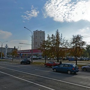 Pliahanava Street, 91, Minsk: photo