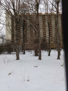 8th Sokolinoy Gory Street, 15 ، موسكو: صورة