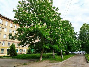 Dzerzhinskogo Street, 12, Ryazan: photo