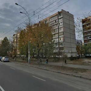 Heroiv Dnipra Street, 57, Kyiv: photo