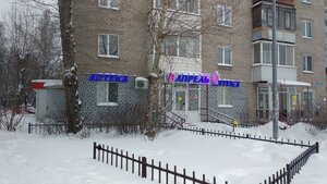 Chkalova Street, 6, Perm: photo