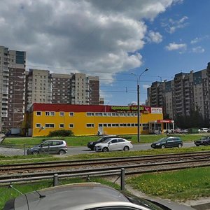 Staroderevenskaya Street, 25, Saint Petersburg: photo