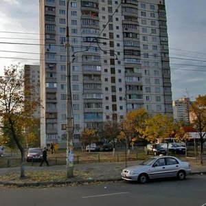 Heroiv Stalinhrada Avenue, 51, Kyiv: photo