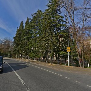 Vinogradnaya Street, 45, Sochi: photo