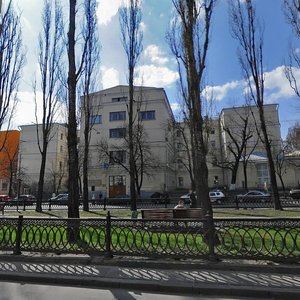 Tarasa Shevchenka Boulevard, No:17к1, Kiev: Fotoğraflar