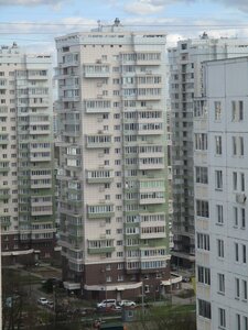 Zelenograd, к2038, Zelenograd: photo