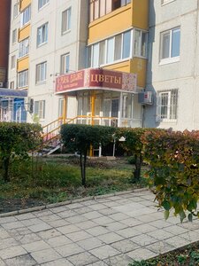 Ulitsa 70 let Oktyabrya, 16 ، أومسك: صورة