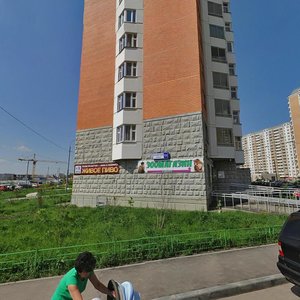Solnechnaya ulitsa, 11, Moskovsky: photo