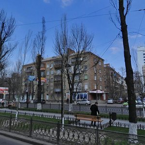 Lesi Ukrainky Boulevard, 15, Kyiv: photo