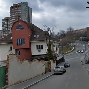 Staronavodnytska Street, 17/2, Kyiv: photo