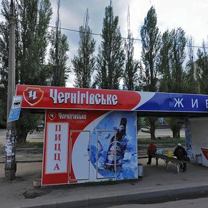 Prospekt Traktorobudivnykiv, 164, Kharkiv: photo