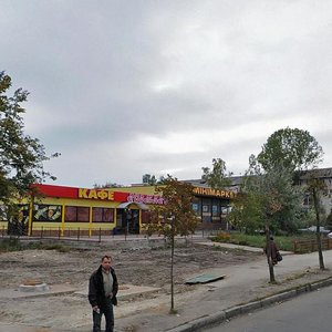 Petra Zaporozhtsia Street, 20А, Kyiv: photo