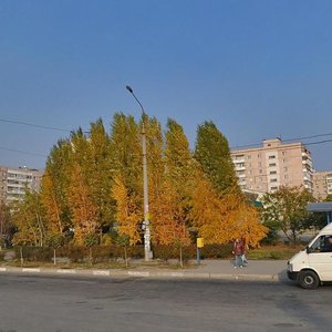 Novokuznetska vulytsia, 40А, Zaporizhia: photo