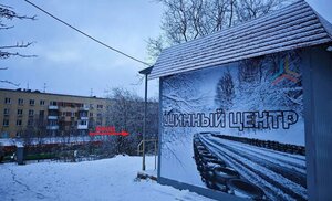 Polyarnye Zori Street, 34А, Murmansk: photo