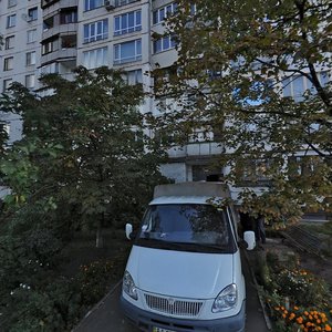 Pavla Tychyny Avenue, 20А, Kyiv: photo