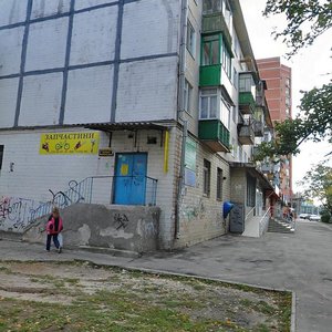 Vasylkivska Street, 55, Kyiv: photo