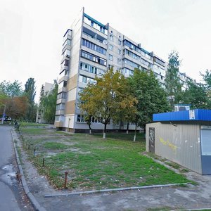 Dmytra Lutsenka Street, 15А, Kyiv: photo