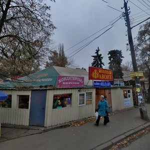 Politekhnichnyi Lane, 1А, Kyiv: photo