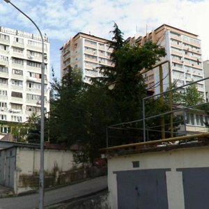Pirogova Street, 2А, : foto