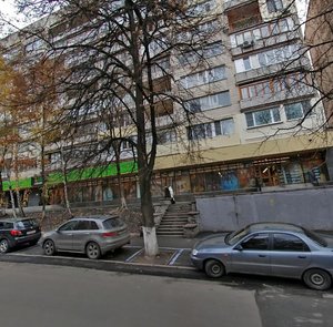 Observatorna Street, 12А, Kyiv: photo