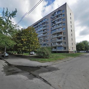 Volho-Donskyi Lane, 1, Kyiv: photo