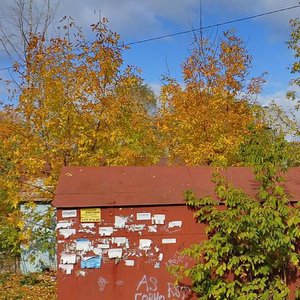 Balakireva Street, 30, Vladimir: photo
