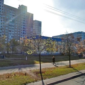 Onore De Balzaka Street, 22, Kyiv: photo