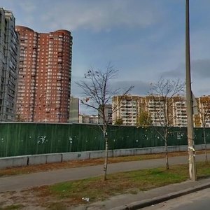 Drahomanova Street, 40Г, Kyiv: photo